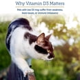 thumbnail image 4 of Rx Vitamins Rx D3 - Cat & Dog Vitamins Liquid D3 Drops in MCT Oil - Vitamin D for Dogs & Cats to Manage Deficiency - Aids in Dog Immune Support and Calcium Absorption - Pet Vitamin D3 - 2oz, 4 of 8