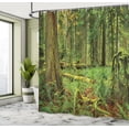 thumbnail image 5 of Ambesonne Forest Shower Curtain, Woodland Bushes Moss, 69"Wx75"L, Green, 5 of 5