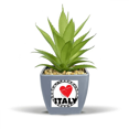 thumbnail image 1 of I Love Italy Word Love Heart Circle Fake Pineapple Flower Pot Vase Mini Decor, 1 of 3