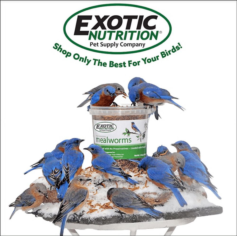 Exotic Nutrition Dried Mealworms 22 lb.