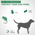 thumbnail image 4 of Advantage II traitement contre les puces pour chiens de grande taille (4 un), 4 of 6