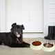 thumbnail image 5 of Cuencos dobles para perros y gatos, cuencos de acero inoxidable para mascotas con agua antideslizante para comida para mascotas, 5 of 5