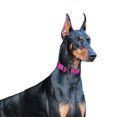thumbnail image 3 of Gostoto Nylon Double-Layer Webbing Anti-Strain Standard Dog Collar For Medium Large Dogs, 3 of 4