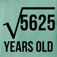thumbnail image 3 of CafePress - 75 Years Old Square Root T Shirt - Womens Comfort Colors® Shirt, 3 of 4