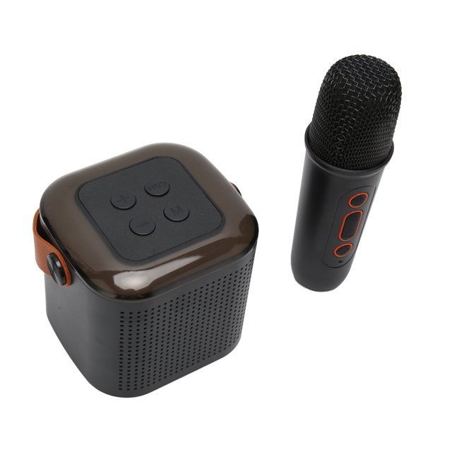 Mini Machine de Karaoké avec Microphone, Haut-Parleur de Karaoké BT Portable avec Lumière RVB, Multiples Connexions, pour Réunion de Fête Familiale et Chant
