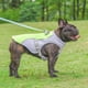 thumbnail image 5 of Chaleco de enfriamiento para perros Arnés Chaqueta más fresca, 5 of 5