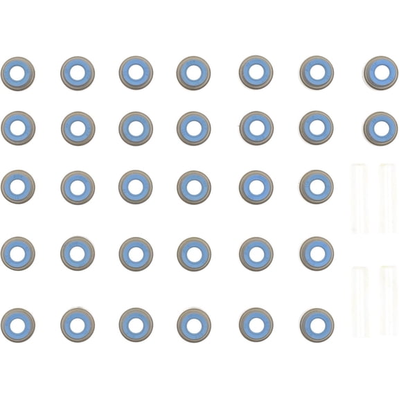 Victor Reinz 12-10066-01 Engine Valve Stem Oil Seal Set