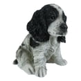 thumbnail image 6 of Ebros Lifelike Pet Pal English Cocker Spaniel Dog Puppy Sitting Figurine 5.75"H, 6 of 8