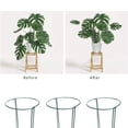 thumbnail image 4 of Paquete de 6 Estacas de Soporte para Plantas Anillo de Metal para Jardín para Peonía Tomate Rosa Vid Fácil de Usar y Almacenar ANGGREK Otros, 4 of 7
