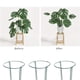 thumbnail image 5 of Paquete De 6 Estacas De Soporte Para Plantas, Jaula De Anillo, Anillo De Soporte Para Plantas De Jardín De Metal Para Peonía, Tomate, Vegetales, Rosas, Flores, Vid Inevent HA036425-00, 5 of 6