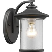 RADIANCE Goods Transitional 1 Light Black Outdoor Wall Sconce 10" Height