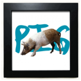 thumbnail image 1 of animal cate chain ecology black square frame picture wall tabletop, 1 of 3