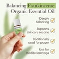 thumbnail image 4 of Pranarom Frankincense Essential Oil, 2 mL, 4 of 4