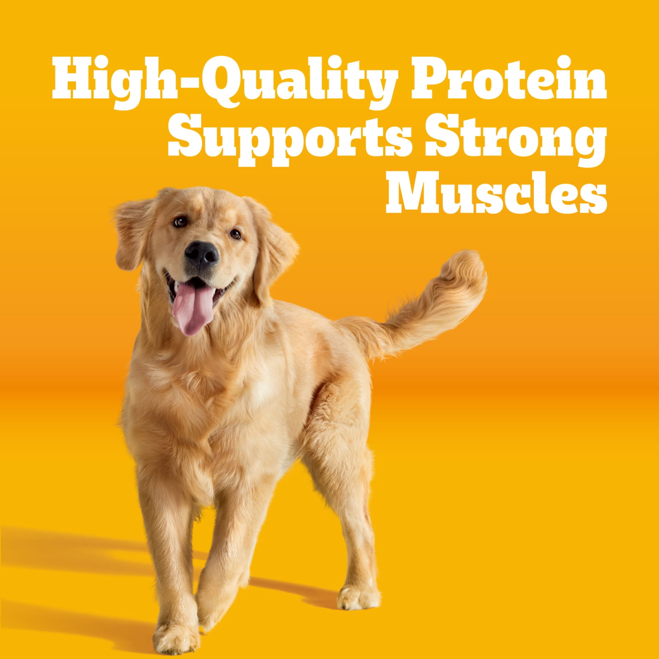 Pedigree High Protein Roasted Lamb & Vegetable Flavor Adult Dry Dog Food, 40 lb Bag