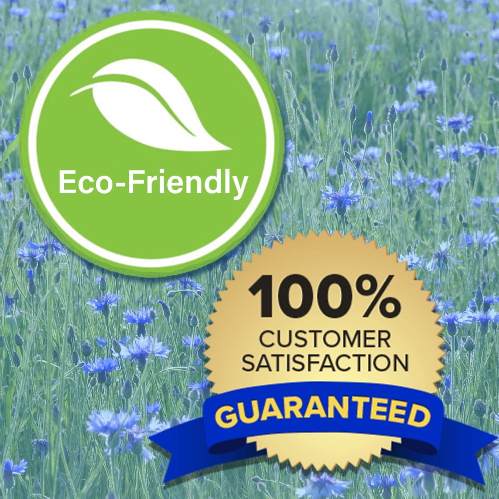 Natural Armor Weed & Grass Killer All-Natural Concentrated Formula. Contains No Glyphosate. Case of (4) Gallons