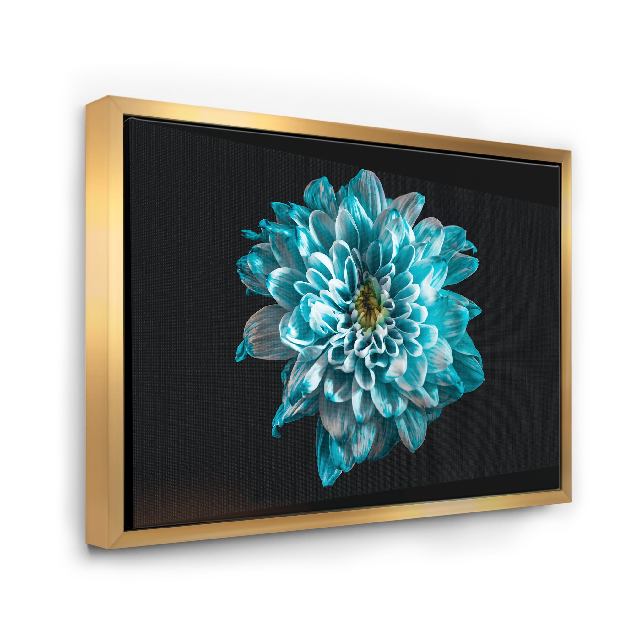 Designart 'Close Up Of Flower With White and Blue Petals' Traditional Framed Canvas Wall Art Print