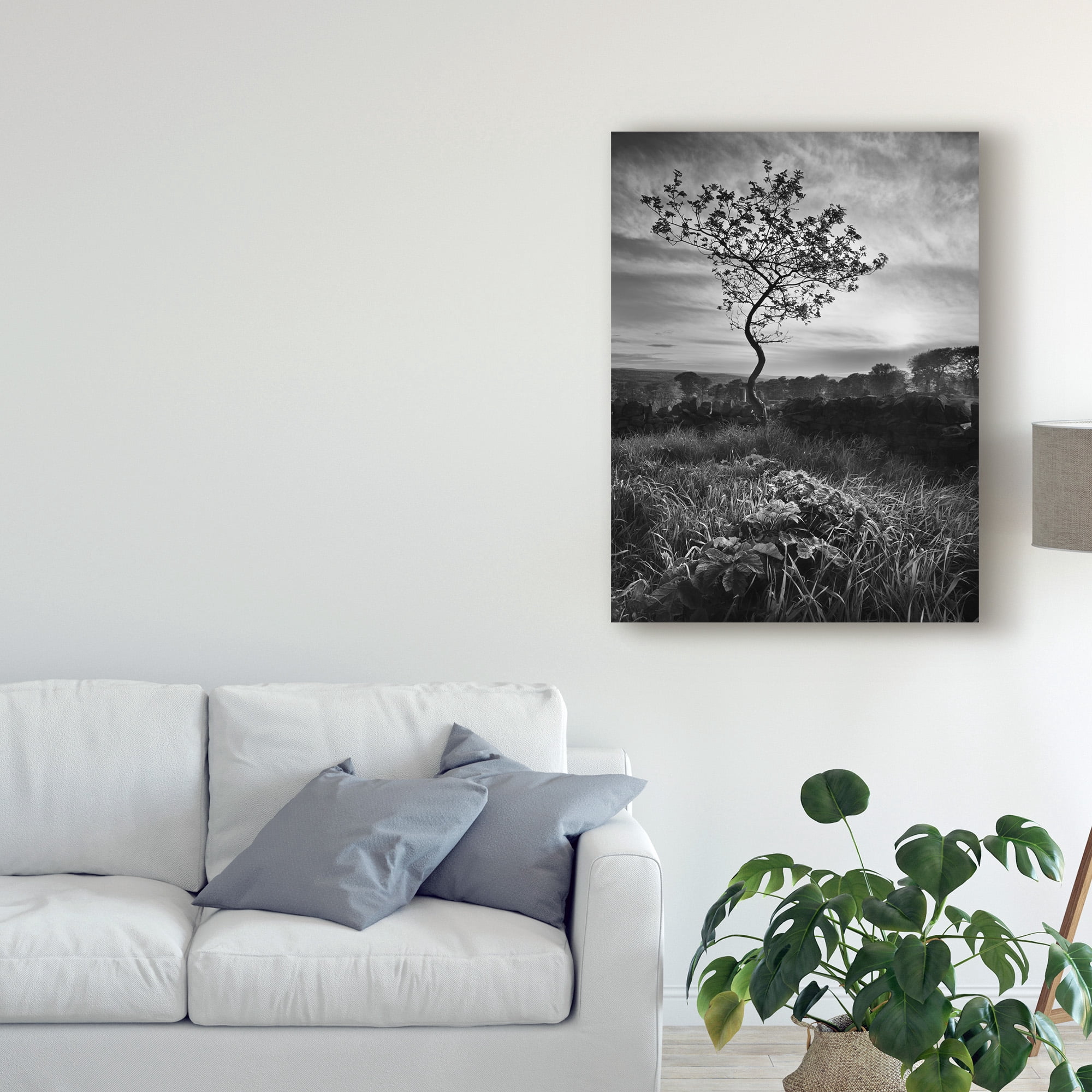 Trademark Fine Art 'Curved Tree' Canvas Art by Martin Henson