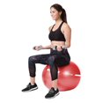 thumbnail image 4 of GoZone Exercise Ball, 4 of 6