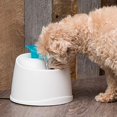 thumbnail image 2 of IRIS USA Pet Water Fountain for Cats and Dogs, White/Blue, 2 of 6