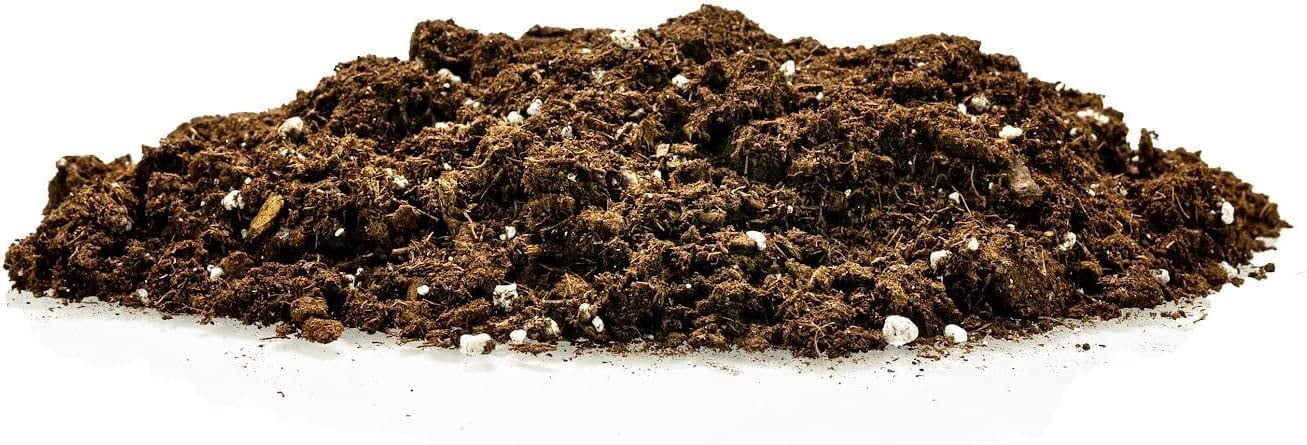 GARDENERA Citrus Tree Potting Soil Mix, Special Blend for Indoor Oranges, Lemons, Limes and More - (5 Quart Bag)