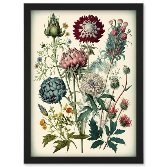 Ernst Haeckel Style Vintage Botanical Plant Study Modern Watercolour Painting Illustration Artwork Framed Wall Art Print A4