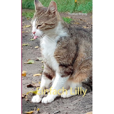 Einfach Lilly (Paperback)