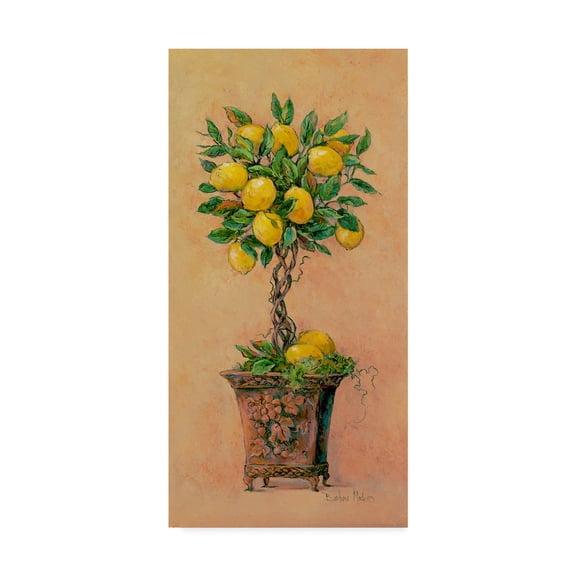 Trademark Fine Art 'Potted Lemons' Canvas Art by Barbara Mock