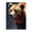 Style3, variant on 500 Piece Grizzly Bear Jigsaw Puzzle For Adults – Fiery Artwork Challenging & Fun Adult Puzzles Home Decor Great Gift Idea A Relaxing And Engaging Brain Teaser