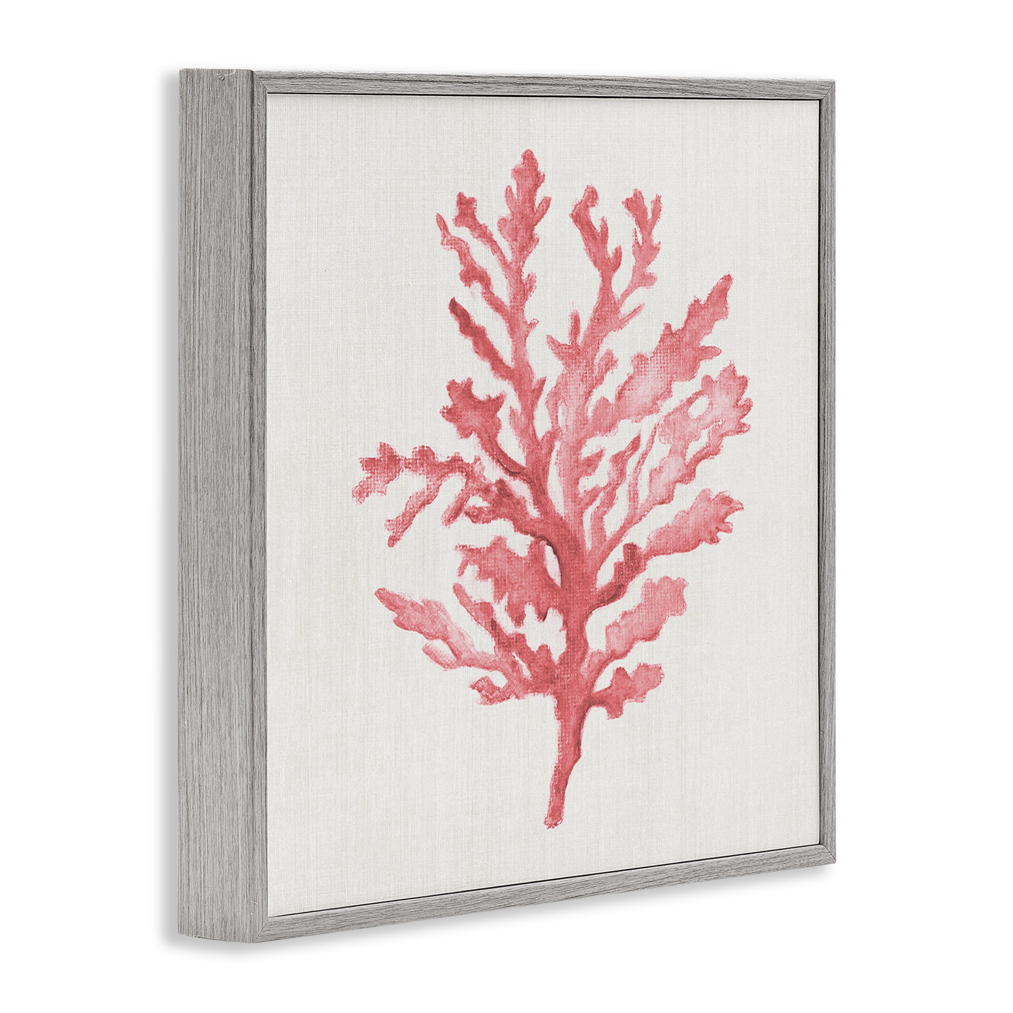 Stupell Industries Rosy Pink Coral Branch Gray Framed Giclee Art, design by Janet Tava