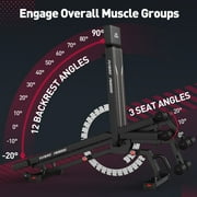 FLYBIRD Adjustable Weight Bench, 1200LBS Foldable Strength Training Bench for Home Gym & Storage