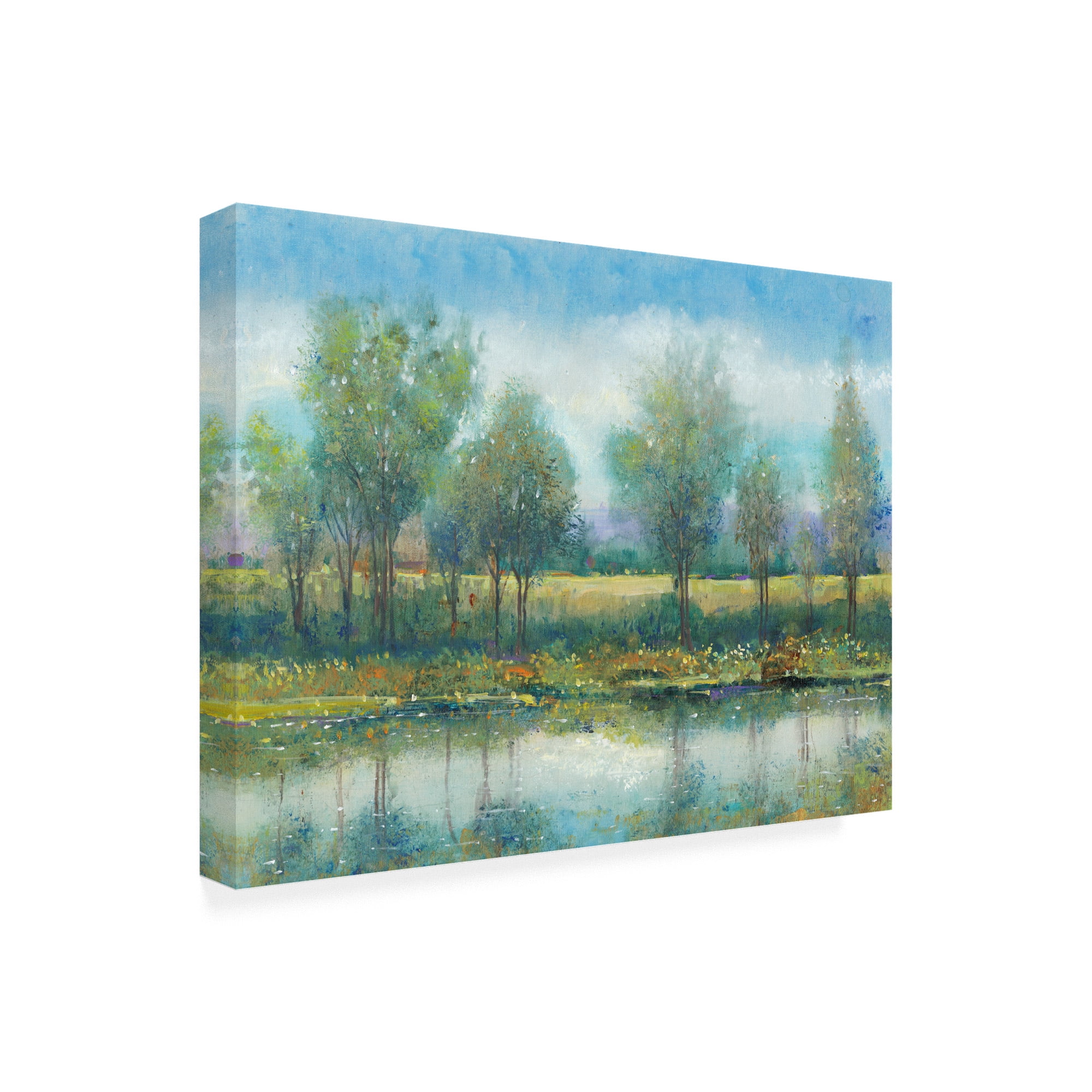 Trademark Fine Art 'River Reflection II Cloudy Blue Sky' Canvas Art by Tim OToole