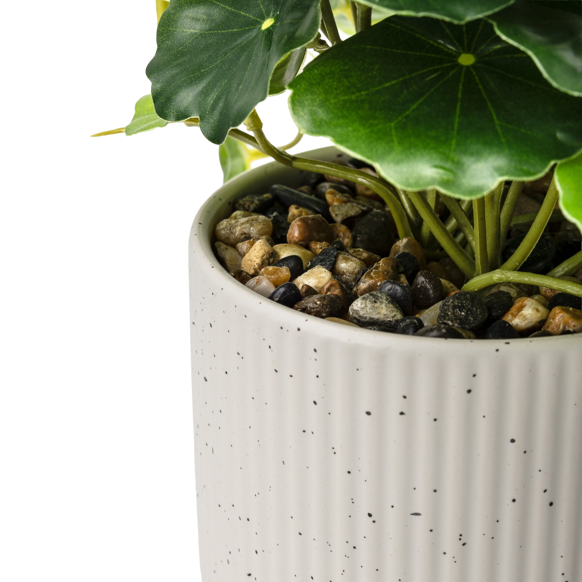 Mainstays Artificial Money Plant in Ribbed Speckled Ceramic Pot, 9.5"