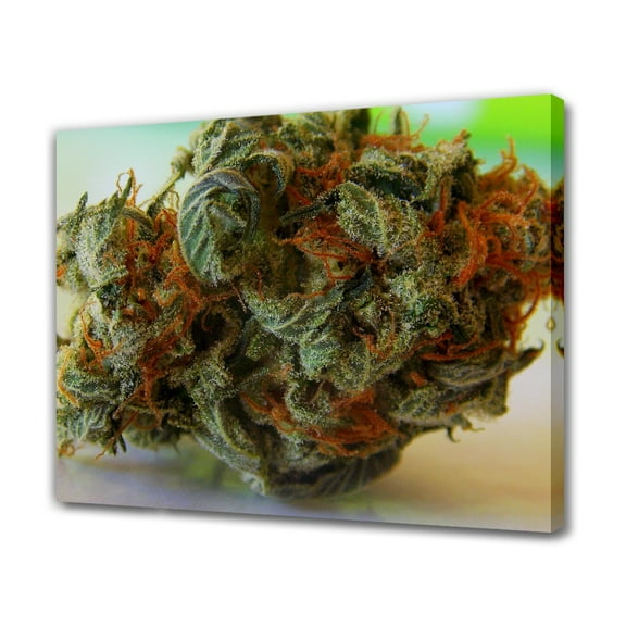 Weeds Canvas Poster Bedroom Decor Sports Landscape Office Room Decor Gift,Frame-style,12x18inch(30x45cm)