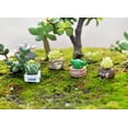 thumbnail image 3 of Lifelike Mini Artificial Fleshy Cactus Plant Decorative, 3 of 9