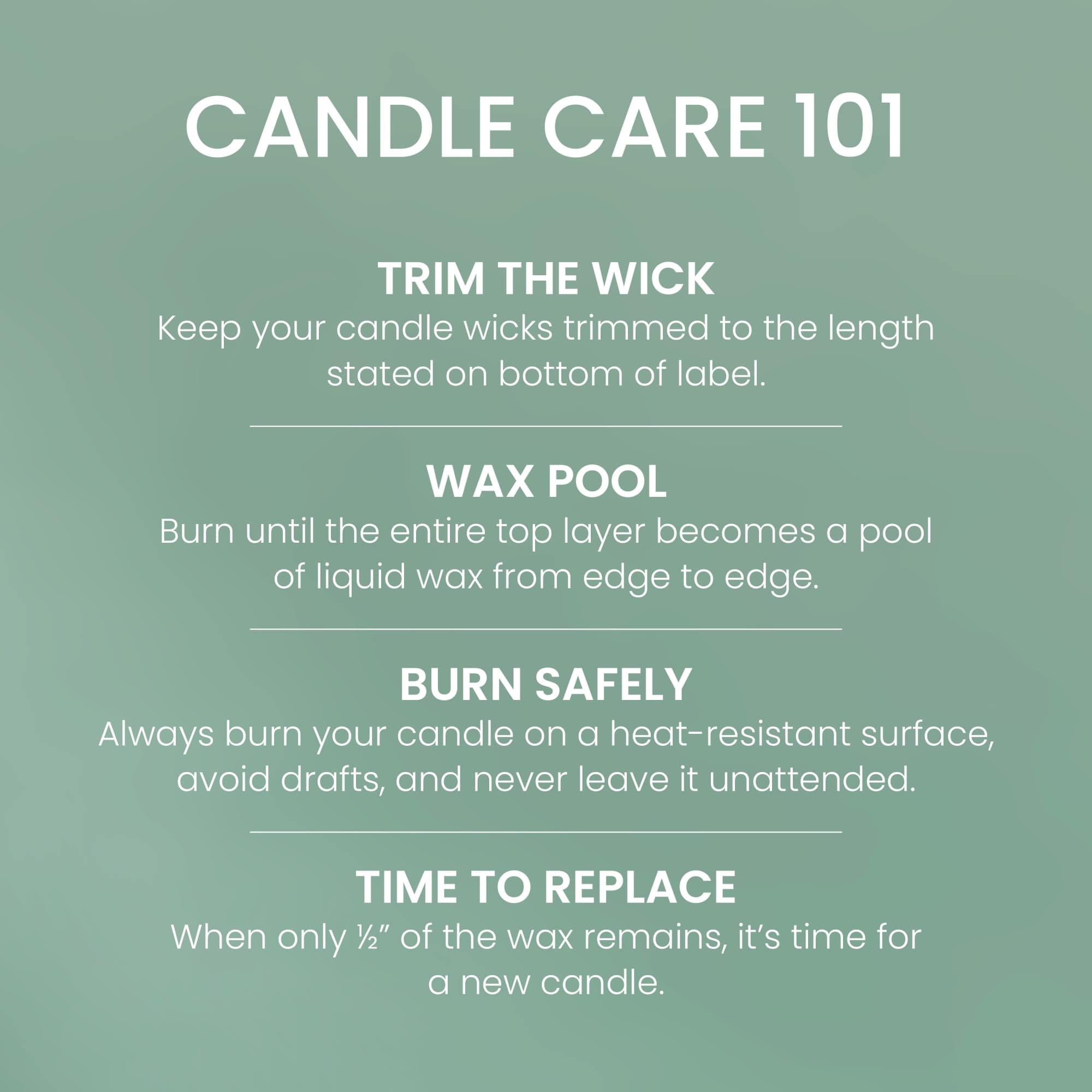 Yankee Candle Canyon Pine Original Large Jar Scented Candles, 22 oz
