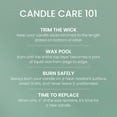 thumbnail image 5 of Yankee Candle Canyon Pine Original Large Jar Scented Candles, 22 oz, 5 of 6