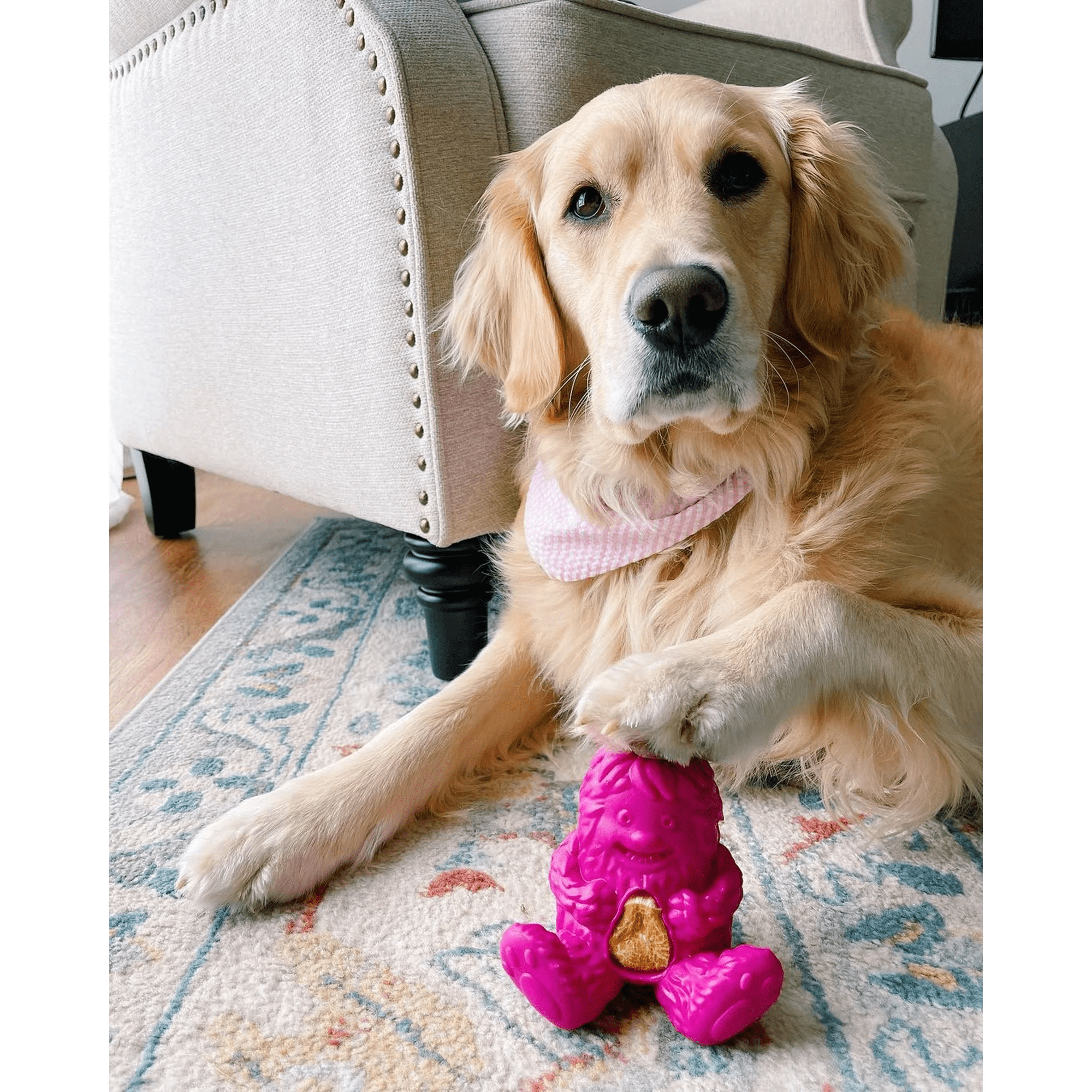 Yeti Puff and Play Interactive Dog Toy Dispenser, Pink