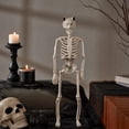 thumbnail image 6 of Life-size posing Halloween skeleton 15.7-inch full-body articulated human bone yard, realistic decoration displayed in the window and durable plastic props., 6 of 7