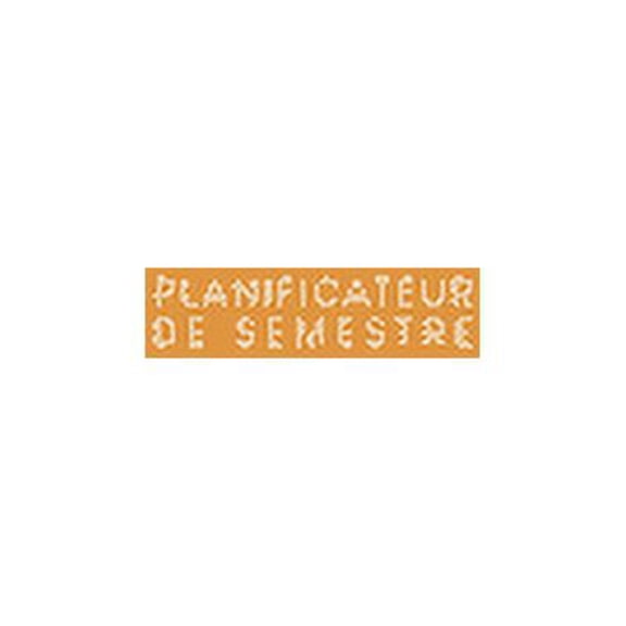 Planificateur de semestre: Planificateur de semestre pour les étudiants et les élèves avec un horaire pour 4 semestres - Design: Jaune moutarde (Paperback)