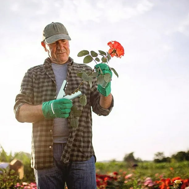 Removedor de espinas de rosas, herramienta de jardinería con marco metálico, corte preciso, portátil, fácil de usar, para jardinería exterior, diseño plegable, ligero, ideal para macizos de