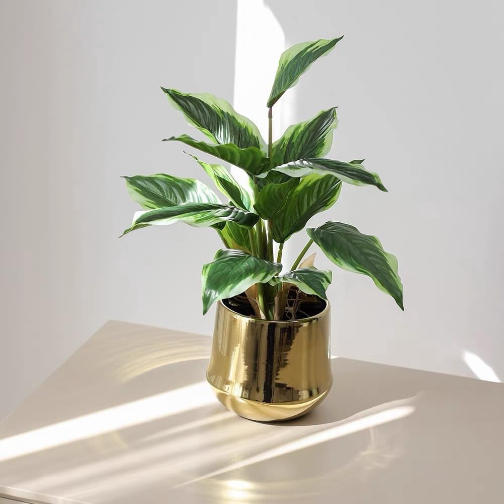 4 Bushes Perennial Hosta Artificial Variegated Green Leave Plant 15.7" Faux Dieffenbachia Tropical Plant Outdoor Shrubs Indoor Yard Decor