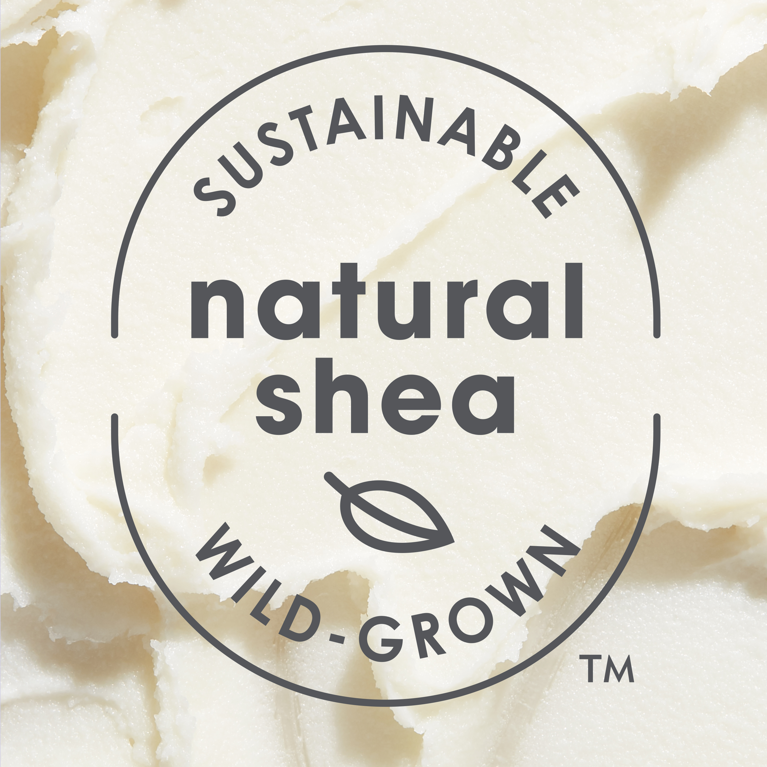 eos Super Soft Shea Lip Balm Sphere - Toasted Marshmallow | 0.25 oz - image 4 of 7