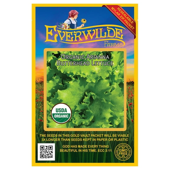 Everwilde Farms - 500 Organic Arianna Butterhead Lettuce Seeds - Gold Vault Jumbo Bulk Seed Packet