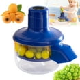 thumbnail image 1 of 2025 New Electric Grape Peeling Machine Automatic Fruit Garlic Peeler, 1 of 8