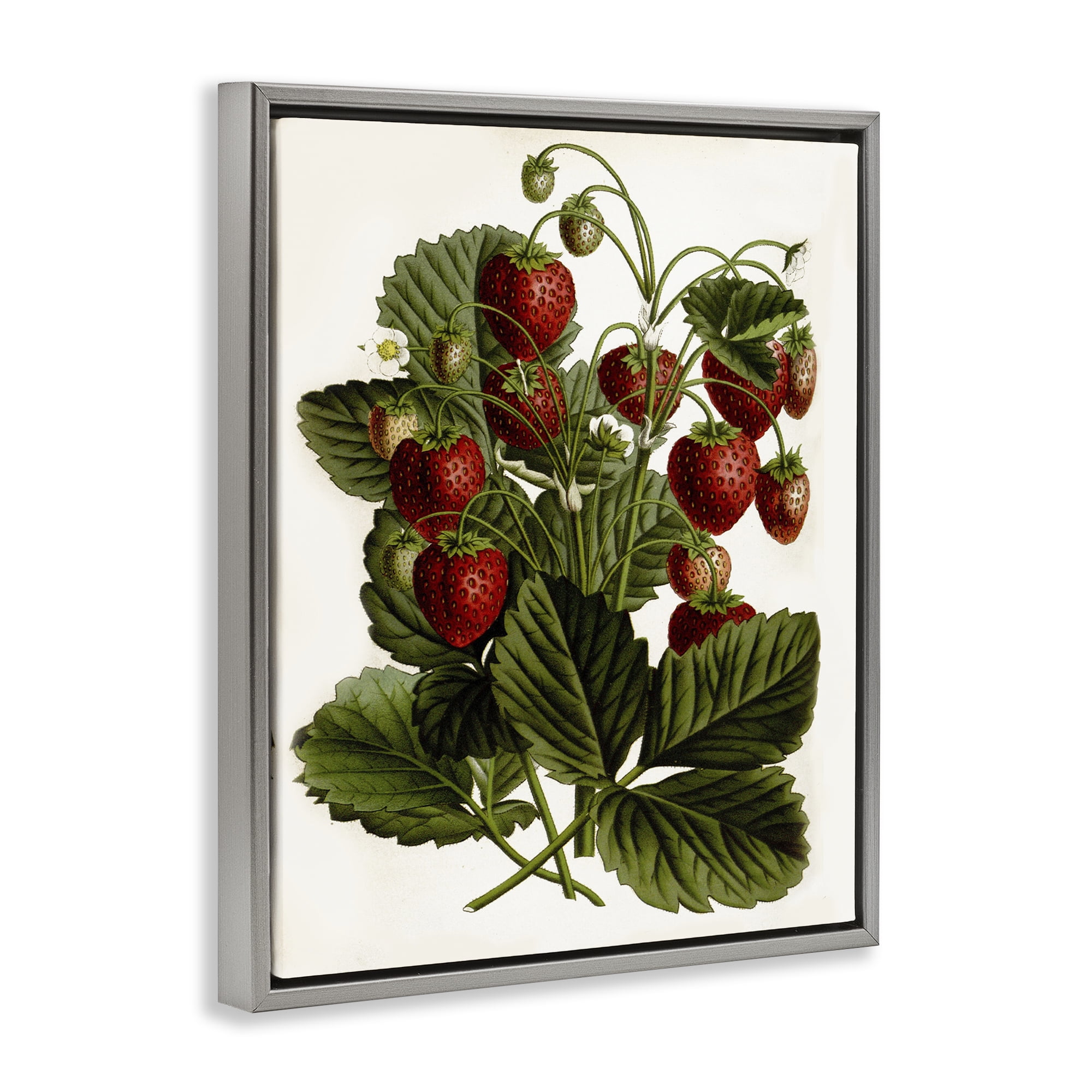 Stupell Industries Strawberry Plant Study Food & Beverage Painting Gray Floater Framed Art Print Wall Art, 25 x 31