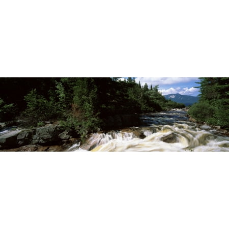 Baxter Canvas Painting (Stream flowing through a forest Little Niagara Falls Nesowadnehunk Stream Baxter State Park Piscataquis County Maine USA Canvas Art - Panoramic Images (6 x)