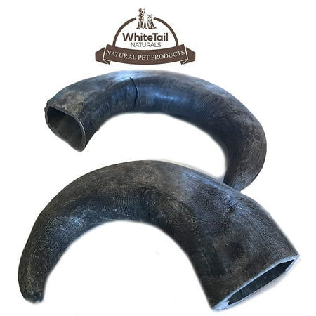 WhiteTail Naturals Water Buffalo Bully Horn (2 Pack Large) All-Natural Dog Chew and Training Treat | High Protein, Low Fat, Grain Free | Promotes Dental Teeth and Gum (Best Gum To Chew For Teeth)