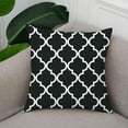 thumbnail image 2 of TAOSON Pack of 2 Soft Canvas Throw Cushion Cover Pillow Covers Cases for Couch Sofa Home Decor Modern Quatrefoil Accent Geometric with Hidden Zipper Closure Only Cover 20 x 20 Inches Black White, 2 of 8