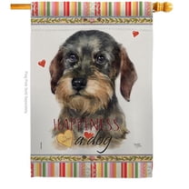 Breeze Decor H110171-BO 28 x 40 in. Dog Wire Haired Dachshund Happiness Double-Sided Decorative Vertical House Flag
