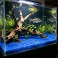 thumbnail image 6 of Super Bright Glow in Dark Pebbles 100Pcs, 0.2-0.35in Small Fluorescent Fine Gravel for Aquarium Substrate, Mixed Color Night Luminous Stones for Vase Decor, Aquascaping, Gardening & Terrarium, 6 of 6